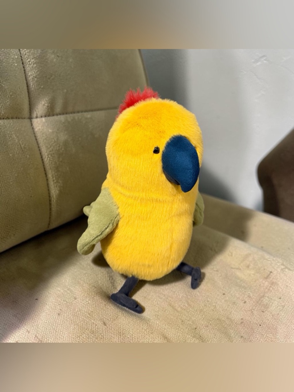 𝐀𝐔𝐓𝐇𝐄𝐍𝐓𝐈𝐂 𝐉𝐞𝐥𝐥𝐲𝐜𝐚𝐭 𝐁𝐮𝐝𝐠𝐞𝐛𝐲 𝐏𝐚𝐫𝐫𝐨𝐭